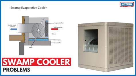 swamp cooler leaking water|Why Does My Evaporative Cooler Leak Water: Common Causes